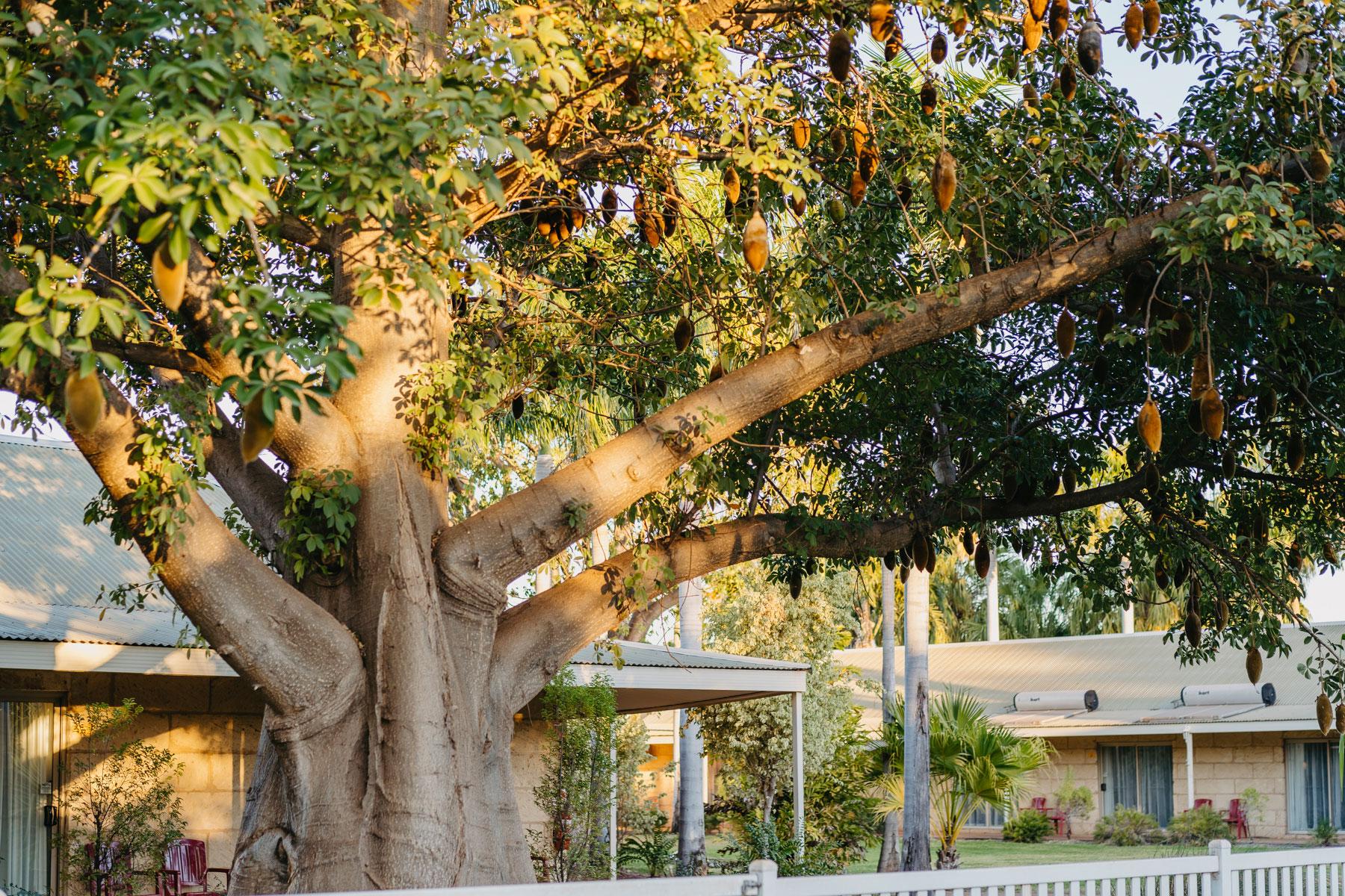 The Kimberley Grande Resort Kununurra Exterior foto