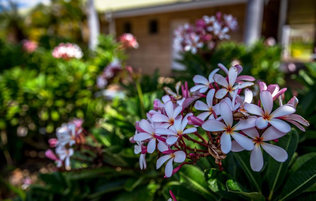 The Kimberley Grande Resort Kununurra Exterior foto